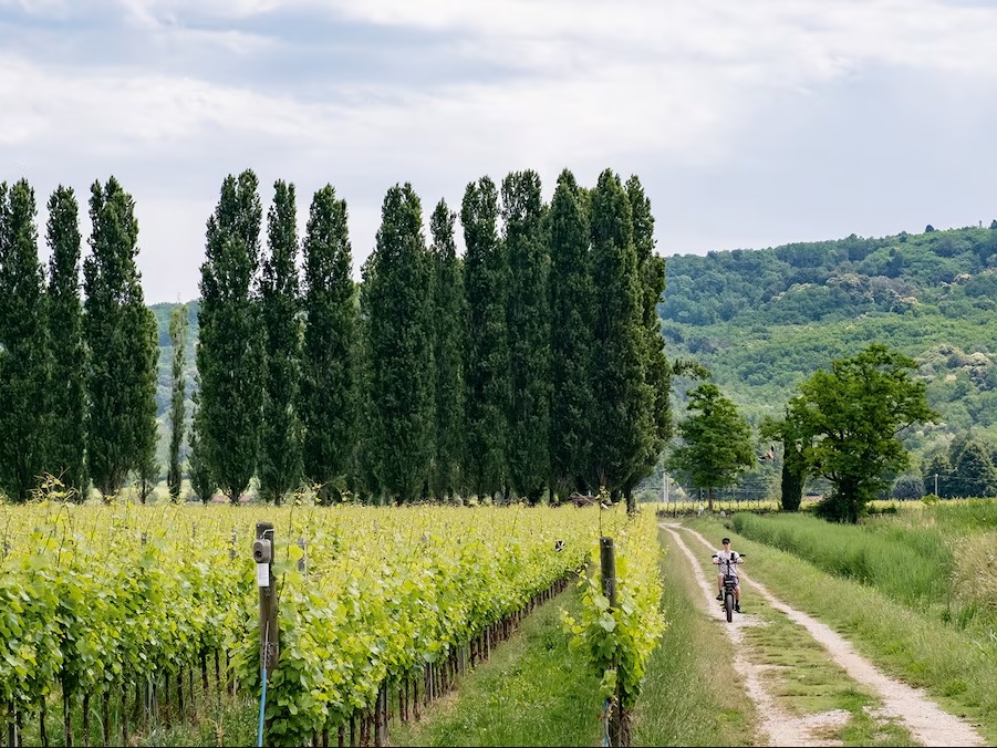 Operations and logistics